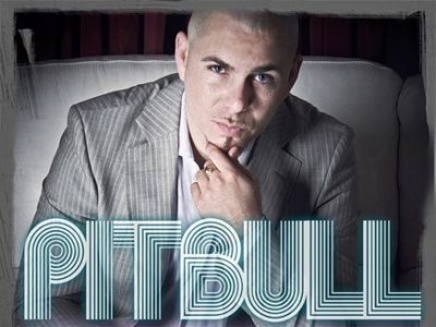 pitbull