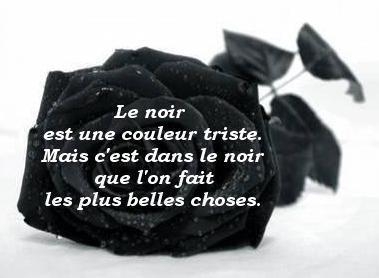 citation sur le Noir