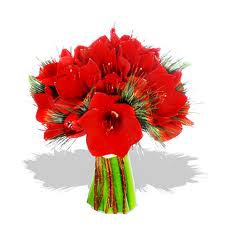 Les Plantes Et Les Fleurs