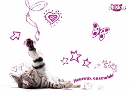 quelle est ton ou tes animal ou animaux pr�f�rer ???