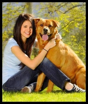 j'adore selena et les chien surtout le sien !!! 
