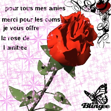 a mes 2 amies !