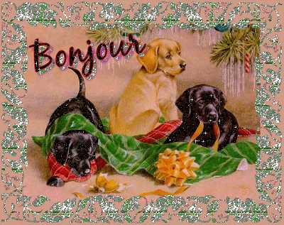 vous aimais mon blog ou pas