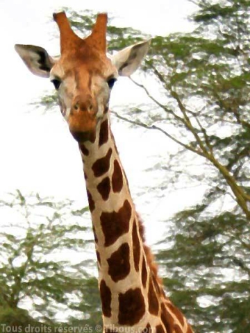 bon j� rien a mettre