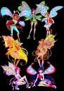 winx club 