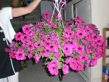 cool les filles !!!!!!!!!!!!!!!!!!!