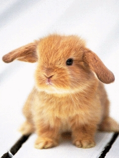 Quel est ta srie prfre ?