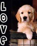                                          bonjour aler vous bien