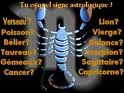moi c'est scorpion 
