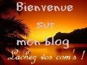 bienvenu sur mon blog