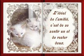 l'amiti� - photo 2