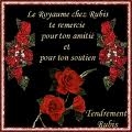 cancour de vote de po�me