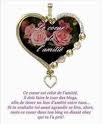 cancour de vote de po�mes