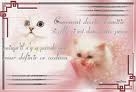 cancour de vote de po�me