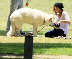 miley et son chien!