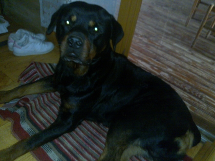 il et minion!!!!!!!!!!!!!!!!!!!!!!!!!!!!