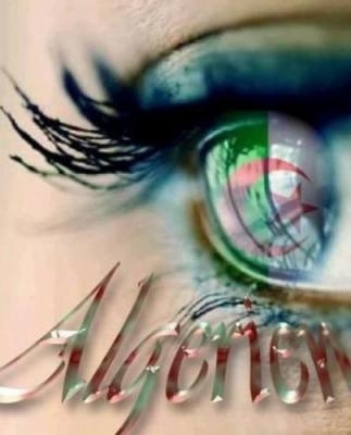 algerie mon amoure