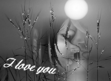 pour david le bo goss