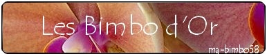 Les bimbo or 