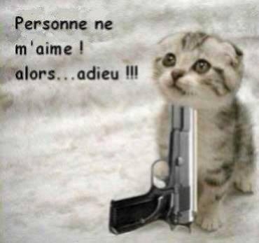 jveu vraiment mourir