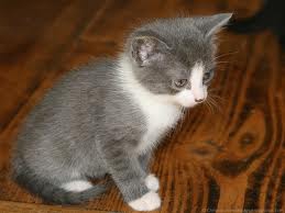 Comment vous le trouvez ? :$ 