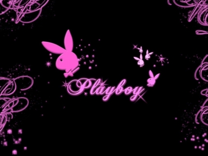 les playboy(les lapin)