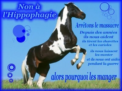 non a l'hippophagie