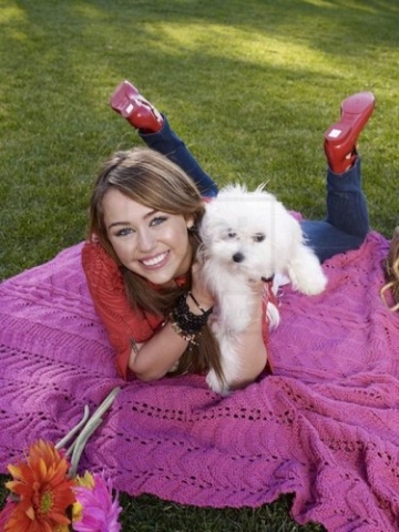 Miley Cyrus et sont chien