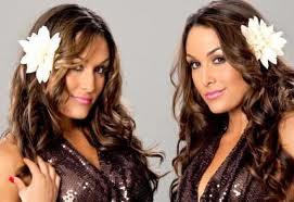 the bella twins - photo 3