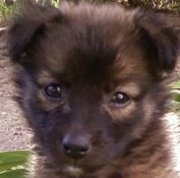 il est beau le tou hein qu'il est beau!