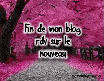 La fin de mon blog