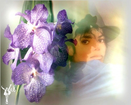 mon chouchou adorable 