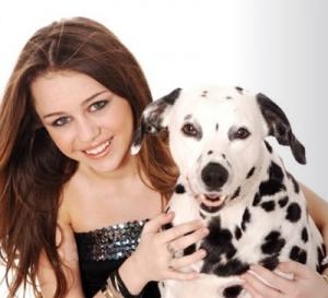 miley avec son chien