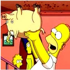 SPIDER COHON ET HOMER