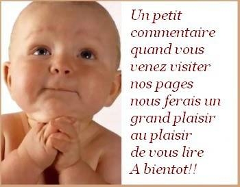 slt laisse des com stp