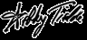 signature ashley tisdale
