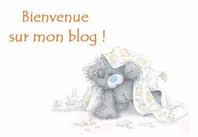 -_- BiEnVeNuE sUr MoN bLoG -_-