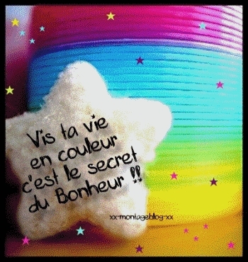 vit ta vis