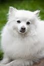 tro beaux 