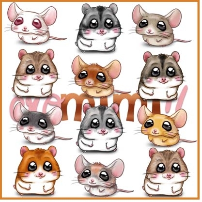 cro mimi