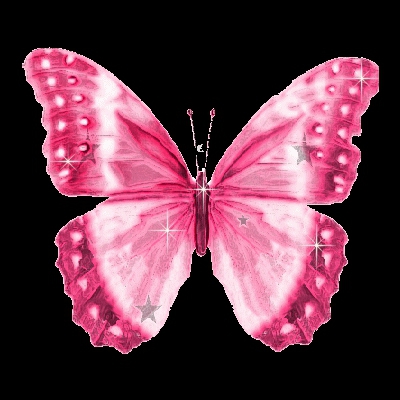 papillon rose