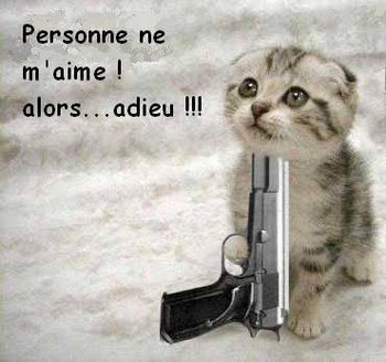 chat   (personne m'aime....