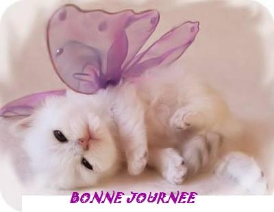 bonne journee