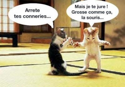 c'est vraiment drole ?