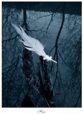 la plume de satan -Victore Hugo