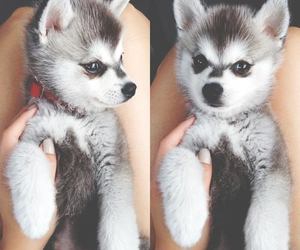 Tu tais si parfait...