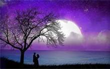  L'amour c'est la vie et une libert�!  - photo 2