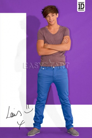 Louis William Tomlinson - photo 2