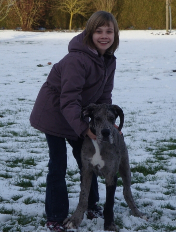 PHOTO DU CHIEN A MA TATIE 