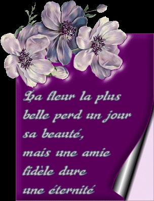 la fleur de l'amiti�